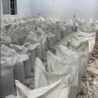 بذر رودس للبيع نظيف بوادي الدواسر