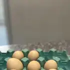 دجاج فرنسي للبيع