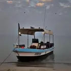 قارب الظاعن 24 للبيع