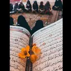 محفظه قران كريم اونلاين مجود للأطفال والنساء حفظ تام