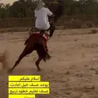 عسف خيل