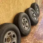 جنوط فقط