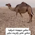 متلي على زكريت البناء ولادها شهر 10