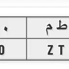 للبيع لوحتين