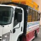 توزيع وتوصيل دجاج لاحم