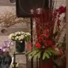 تاجير سماعات ياماها امريكي