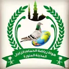 زاجل سباق المدينه المنوره