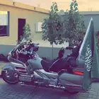 دباب قولد ونق رحال 2002