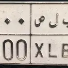 لوحة مميزة للبيع ( ب ل ص 4000 )