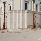 نخيل واشنطن ونخيل عربي