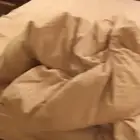الدمام حى الباديه