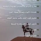 مربط البيرق يوجد لدينا خدمه العسف في كل مكان