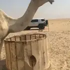 خلفه
