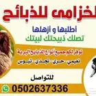 ذبائح الخزامى