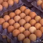 بيض دجاج لوهمان