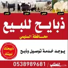 ذبايح للبيع