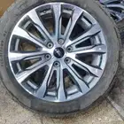 جنوط فورد إيفرست