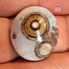 لعشاق الداوودي عقيق يماني فص داودي نوادر طبيعي