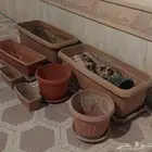 احواض زراعية