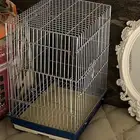 شبك طيور