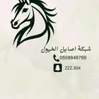 عرررض خاص مزاد اصايل الخيل