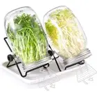 برطمانات ماسون لنمو البذور مع اغطية ستانلس ستيل