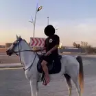حصان شعبي