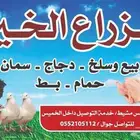 مسلخ دجاج وحمام وسمان