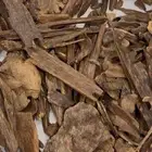 عود ماليزي ترنقانو نادر جدا