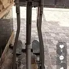 الغزال الطائر