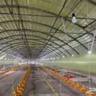 مطلوب بيوت محمية مكيفه للاجار في ابو معن
