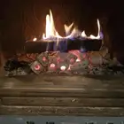 حطب مستورد للبيع   ( جملة - قطاعي )