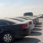 قطع كابرس 16 كرت مشروطه الاحساء وشحن كل مكان