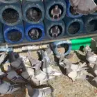 حمام سلفر سوبر جانبو حول 22 جوز