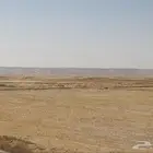 مطلوب ارض زراعية للإيجار لاتقل المساحه عن 50الف