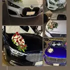 تشريع سيارات العرسان والتخرج