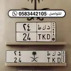 لوحة رقم 24 موديل وميلاد