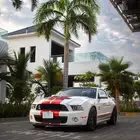 موستنج شلبي gt500