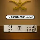 لوحة رقم 24 موديل وميلاد