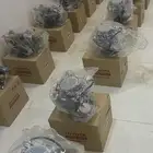 كلبريترات جيوب 2F و 3F اصلي وكالة