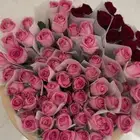 ورد طبيعي جمله . يوجد توزيعات بسعر الجمله