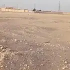 مطلوب مخطط 3124