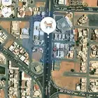قطه ضائعه