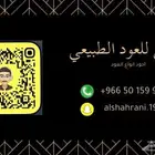 عود طبيعي