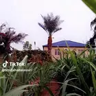 مزرعة خاصة للايجار اليومي