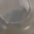 طقم اركوبال فرنسي الأصلي