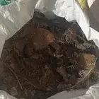يتوفرزبل دجاج