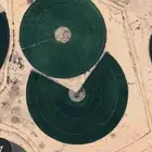 مزرعه للايجار