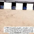 حي الربيع - حفرالباطن