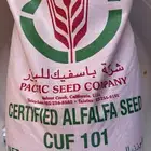 بذور